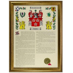 Personalised Coat Of Arms & Surname History