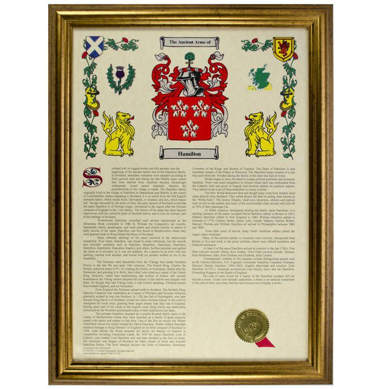 Personalised Coat Of Arms & Surname History