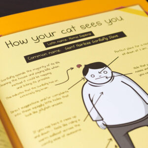 How To Tell If Your Cat Is Plotting To Kill You