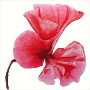 Art Cards Ireland - Sweet Scented II ~ Grainne Cuffe