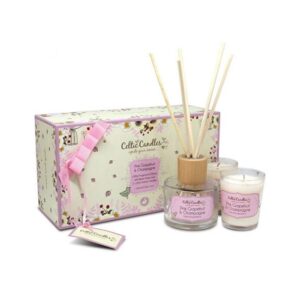 Pink Grapefruit & Champagne Mini Gift Box | Celtic Candles