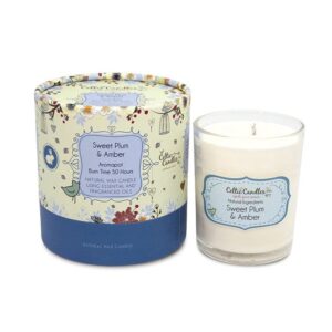 Sweet Plum & Amber AromaPot Tumbler 20cl | Celtic Candles