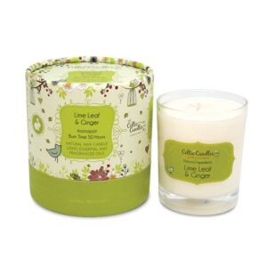 Lime, Leaf and Ginger AromaPot Tumbler 20cl | Celtic Candles