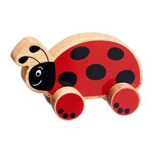 Push Along Toys ladybug