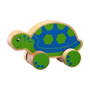 Push Along Toys turtle