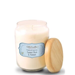 Sweet Plum & Amber Large Pop Candle | Celtic Candles