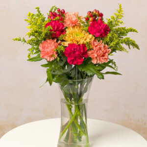 Autumn Carnations