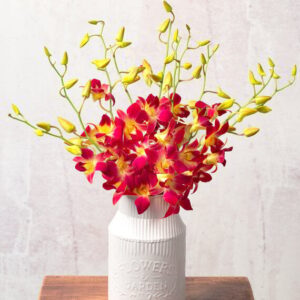 Autumn Orchids