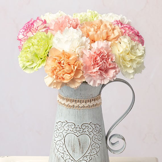 12 Classic Carnations