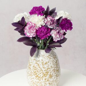 Damson Delight