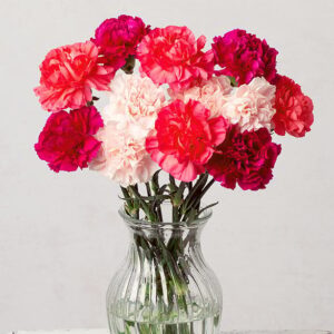 Pink Medley