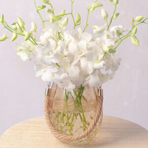 White Orchids