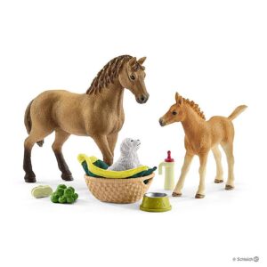 Schleich Horse Club Sarahs Animal Care