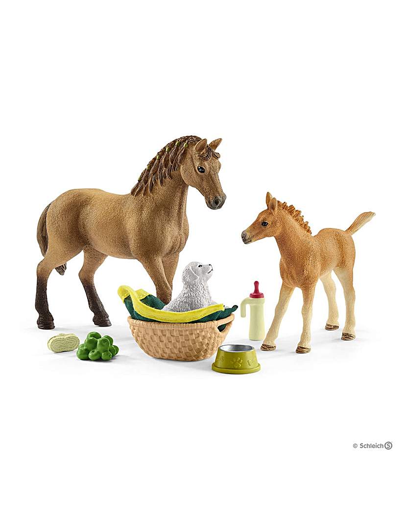 Schleich Horse Club Sarahs Animal Care