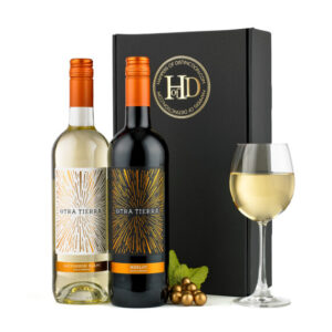 Chilean Wine Duo