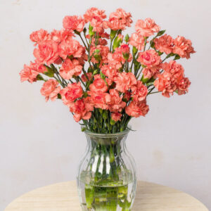 Simply Spray Carnations Letterbox