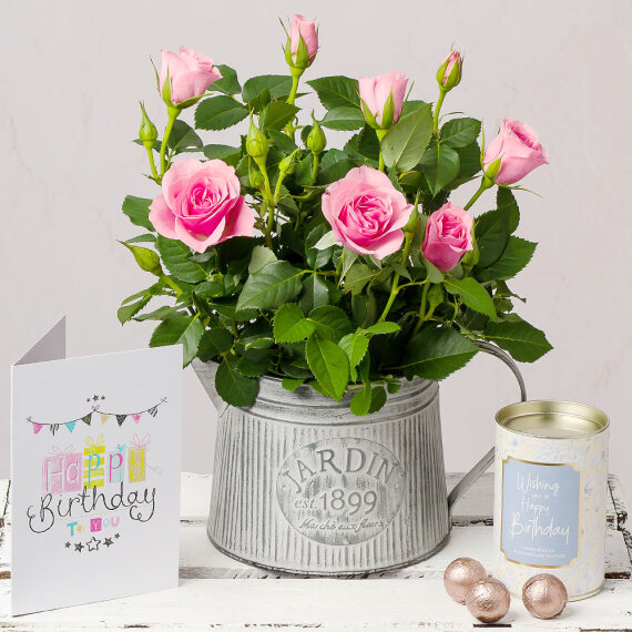 Pink Rose Happy Birthday Gift