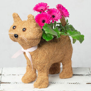 Cat Planter