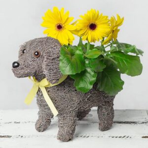 Dog Planter