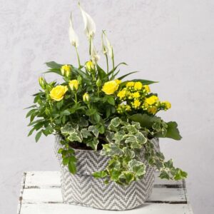 Summer Sun Planter